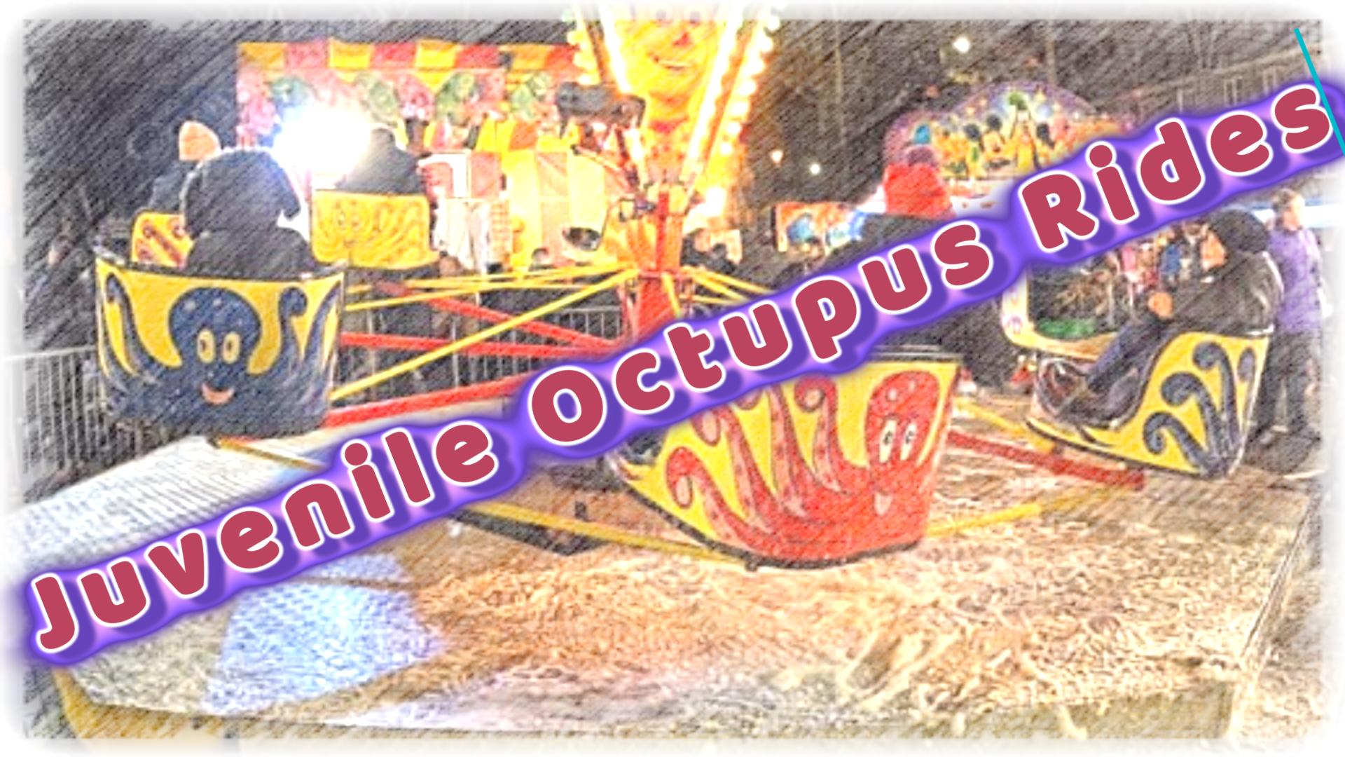 Juvenile Octupus Rides